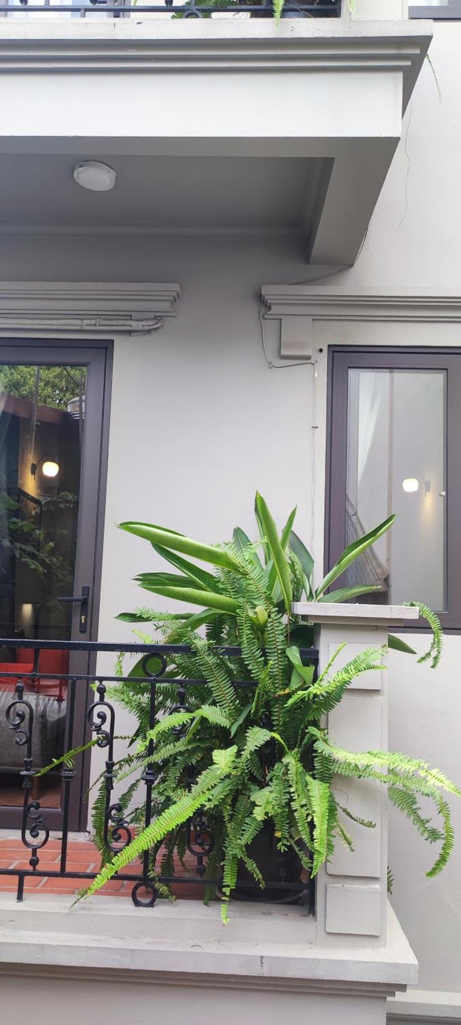 T Home Balcony Homestay Hanoi Esterno foto