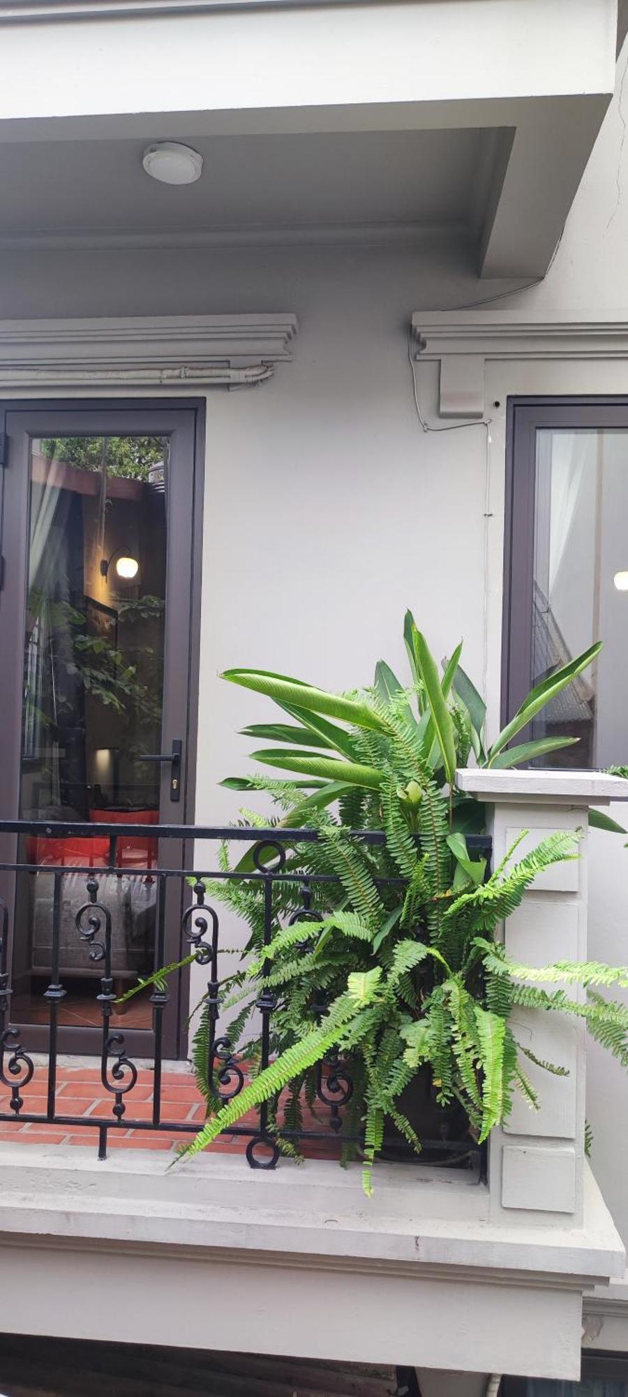T Home Balcony Homestay Hanoi Esterno foto
